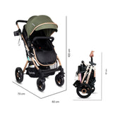 Coche Moises Bebesit Gold LX