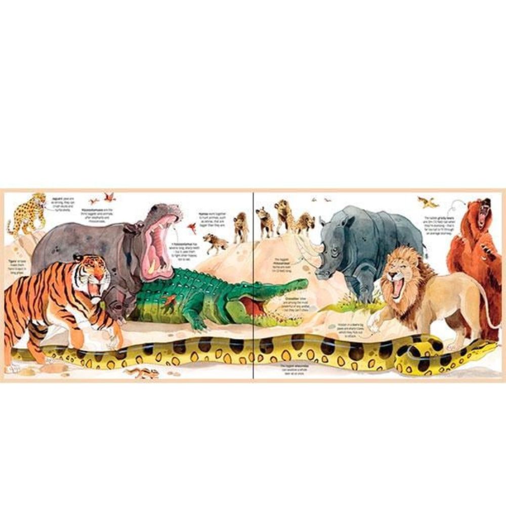 Gran Libro de Animales Usborne