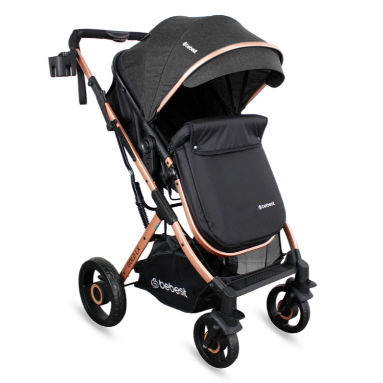 Coche Moises Bebesit Gold LX