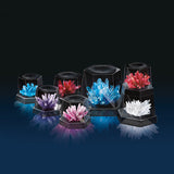 Experimento Crystal Growing Kit 4M