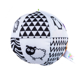Pelota Blanco y Negro