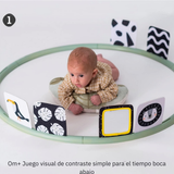 Gimnasio de Entrenamiento Tiempo boca Abajo Circular Taf Toys