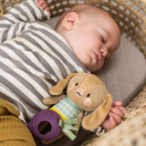 Sonajero Jenny the Bunny Mordedor y Peluche Taf Toys