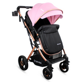 Coche Moises Bebesit Gold LX
