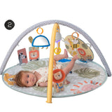 Gimnasio de Actividades 360 Taf Toys