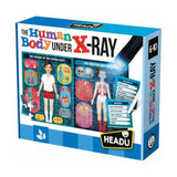 Rompecabezas Cuerpo Humano X-RAY Headu