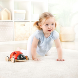 Mariquita Clasificadora de Formas Hape