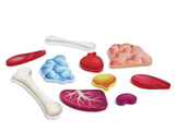 Rompecabezas del Cuerpo Humano Hape