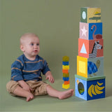 Cubos Aplilables Taf Toys