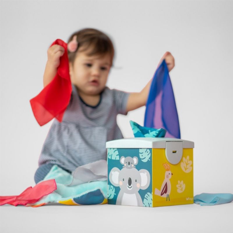 Caja de Pañuelos Kimmy Koala Wonder