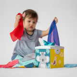 Caja de Pañuelos Kimmy Koala Wonder