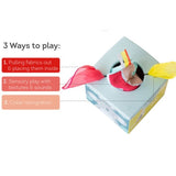 Caja de Pañuelos Kimmy Koala Wonder